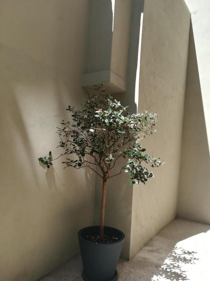 Appartement AmaOporto - Sé Extérieur photo